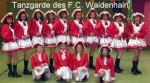 FC Waidenhain