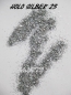 Preview: HOLO GLITTER